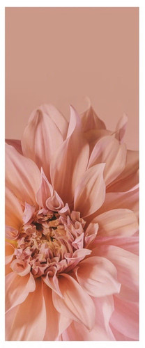 Ikea bjorksta blumen rosa - ikea,