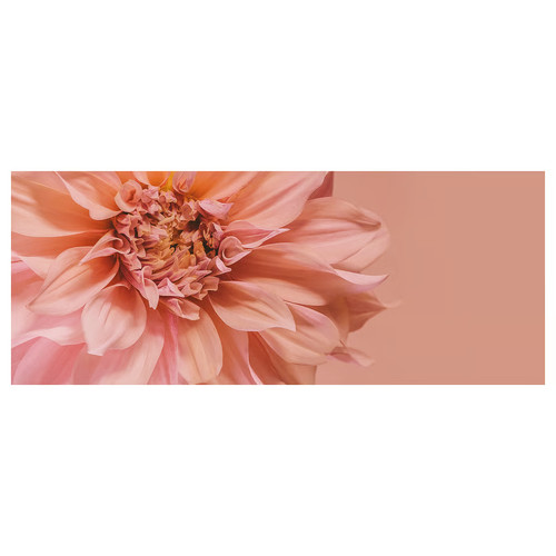 Ikea bjorksta blumen - blumen, rosa