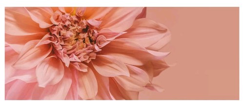 Ikea bjorksta blumen rosa - bjorksta,